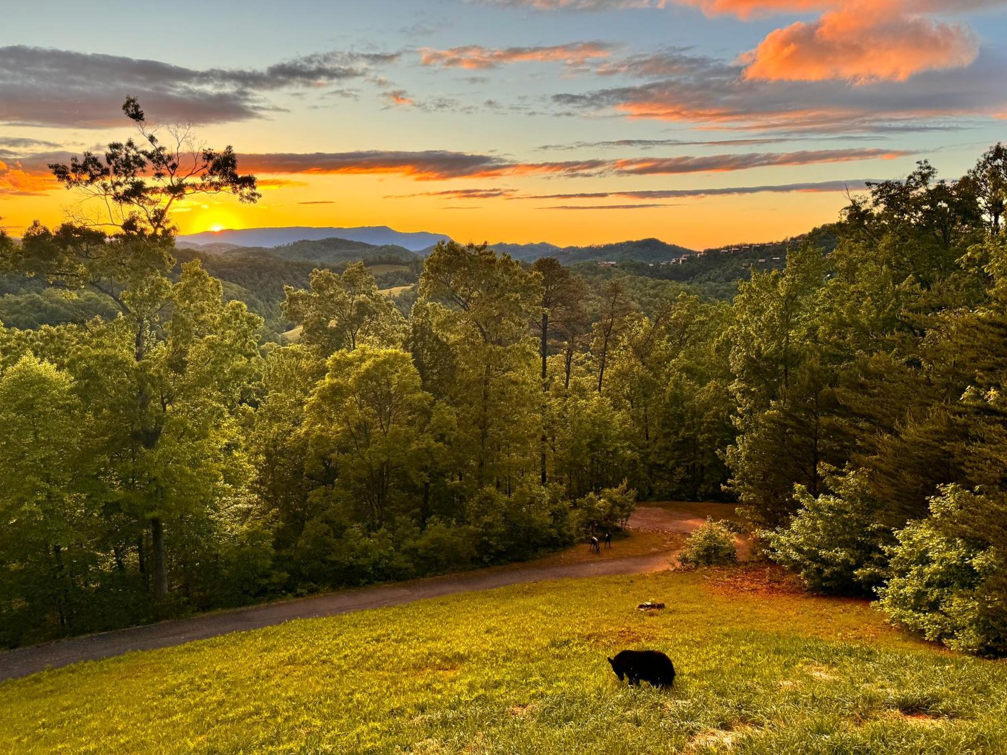 Smoky - Glowing Twilight Hébergement de vacances Pigeon Forge